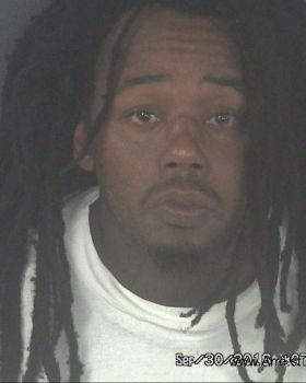 Travis Demond Collins Mugshot