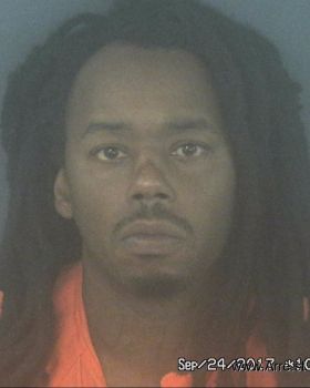 Travis Demond Collins Mugshot