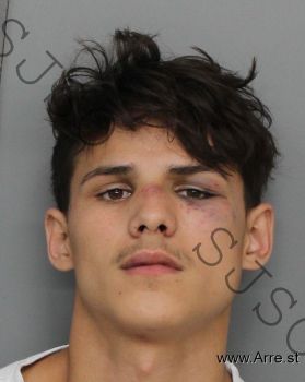 Travis Wade Harris Mugshot