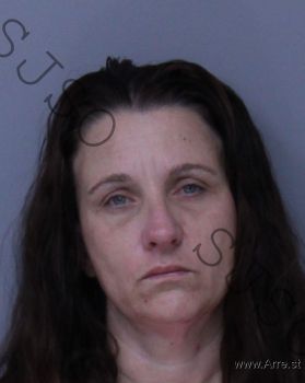 Tricia Ann Klingbeil Mugshot