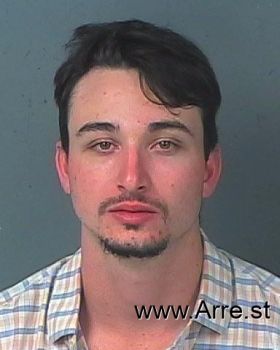 Tyler William Holmes Mugshot