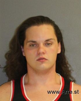 Tyler  Nicholson Mugshot