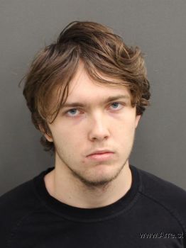 Tyler Austin Romine Mugshot