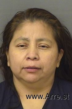 Veronica  Ramirez Mugshot