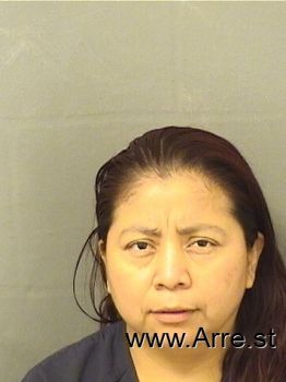 Veronica  Ramirez Mugshot