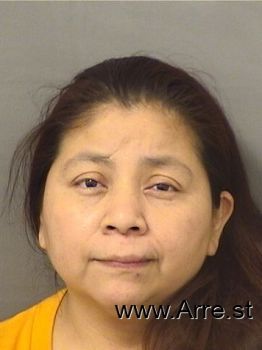 Veronica  Ramirez Mugshot