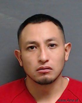 Vicente Luna Hernandez Mugshot