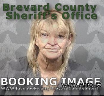 Vickie J Johnson Mugshot