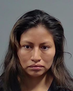 Viviana Antonia Diaz-perez Mugshot