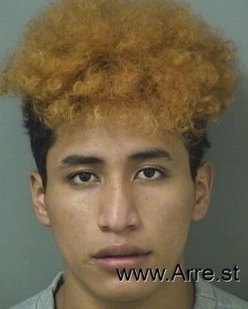 Williams Guidoemilio Maldonadoramirez Mugshot