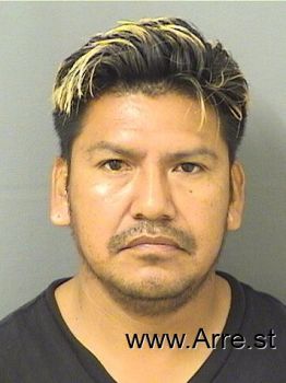 Wilson  Alvaradoitzep Mugshot