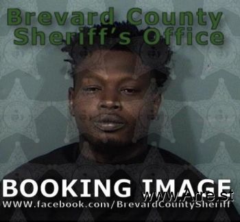 Wayne Farrell Williams Mugshot