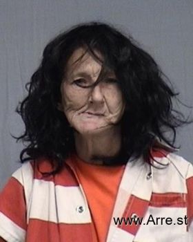 Wendy Elaine Kadlec Mugshot