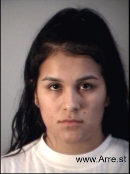 Wendy Berenice Villasenor-perez Mugshot