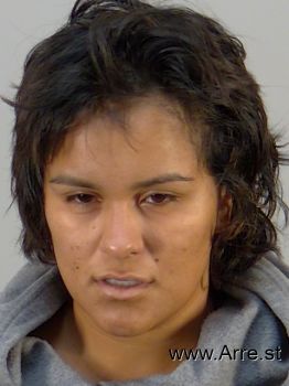 Wendy Berenice Villasenor-perez Mugshot