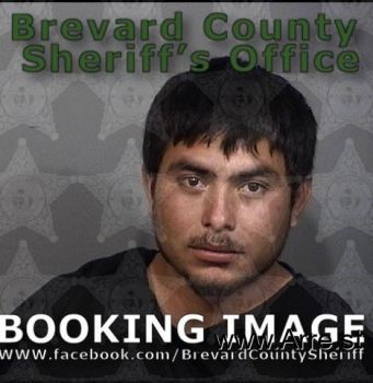 William  Beltran Barrera Mugshot