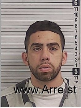 William  Pereira Jr Mugshot