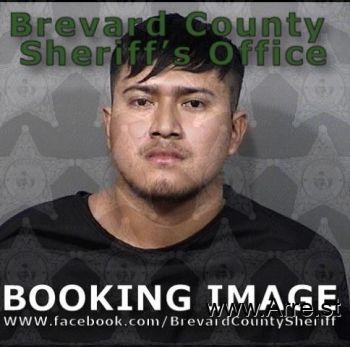 Wilmer Moises Lorenzo-diego Mugshot