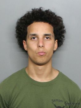 Xavier Ryan Scott Mugshot