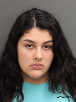 Yamilet  Gonzalez Mugshot