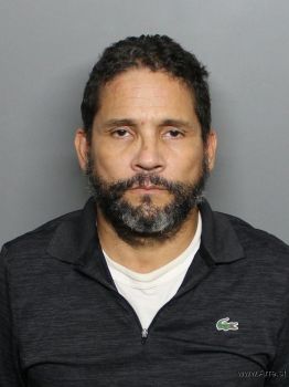 Yoankle  Valdes Mugshot