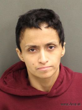 Yolanda Maria Ayalaramos Mugshot