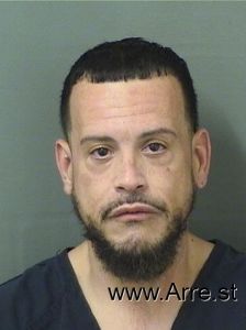 Alejandro Fernandez Arrest Mugshot