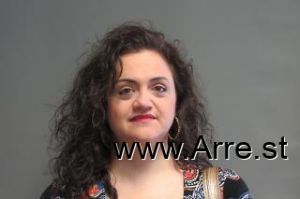 Alisa Rothenberg Arrest Mugshot