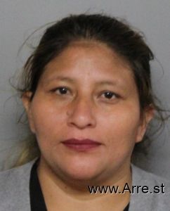 Aida Perez Martinez Arrest