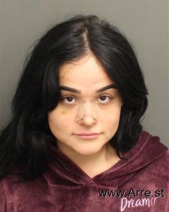 Alyssa Romero Arrest