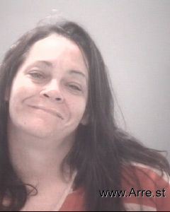 Amanda Hummerick Arrest