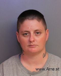 Amanda Shultz Arrest Mugshot