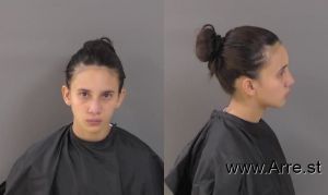 Ana Pinto Gonzalez Arrest Mugshot