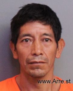 Andres Paz Arrest