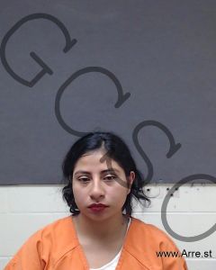 Arely Perez Arrest Mugshot