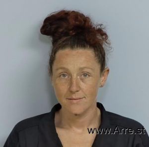 Ashley Sheffield Arrest Mugshot