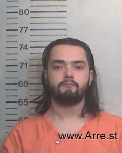 Bastian Bastiancastillo Arrest Mugshot