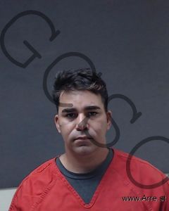 Borges Borgesdelatorre Arrest Mugshot