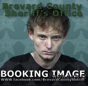 Bracey Stevens Arrest