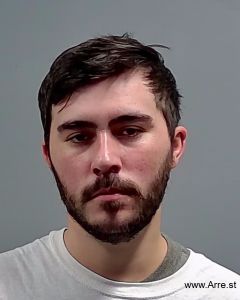 Brandon Flowers Arrest Mugshot