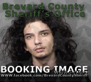 Brayden Little Arrest