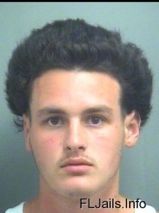 Bryan Oro Arrest Mugshot