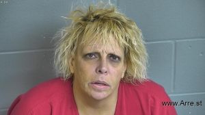 Dawn Wilson Arrest Mugshot