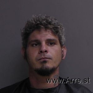 Daniel Reyes Arrest