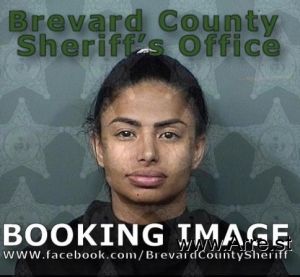 Dariana Diaz Arrest