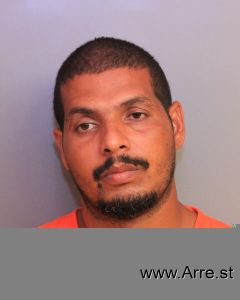 Domingo Rodriguez-alicea Arrest