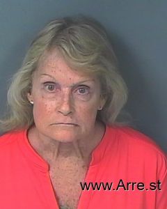 Donna Larson Arrest Mugshot
