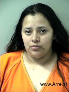 Elizabeth Mejia-aleman Arrest Mugshot