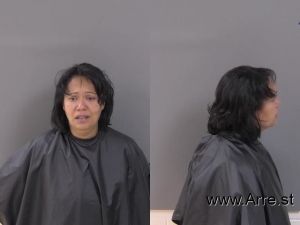 Elizabeth Montanes Arrest