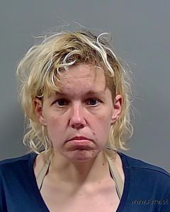 Erin Dooley Arrest